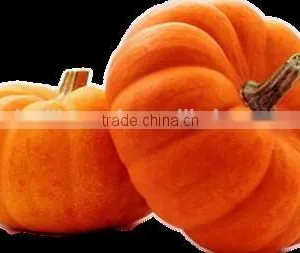 Manufacture High Quality Pumpkin Seed Oil Lower Blood Lipid thumbnail-3