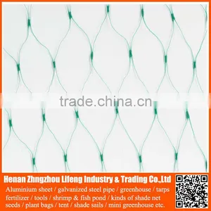 100% Virgin HDPE Anti Bird Netting / pe Protection Net / Plastic Net With uv thumbnail-4