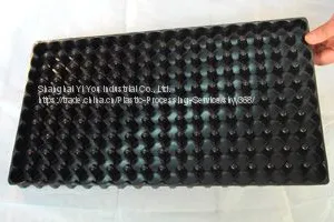 Plastic Tray Manufacturer Shanghai Yi You From China thumbnail-4