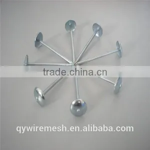 Galvanized Roofing Nail/Roofing Nails With Washer /Umbrella Roofing Nails thumbnail-1