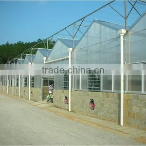 Light Frame Steel Structure Building for Greenhouse, Poultry Farm With Really Low Cost thumbnail-1
