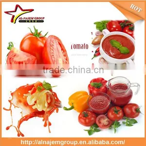 High Quality Tomato Paste Making Machine Tomato Canning Machine Tomato Ketchup Making Machine thumbnail-6