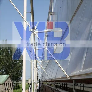 Polycarbonate Sheet Greenhouse thumbnail-1