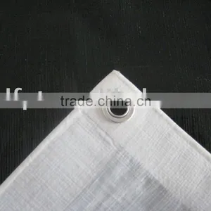 PE Tarpaulin thumbnail-1