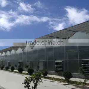 Good Quality Multi Span Polycarbonate Flower Greenhouse With Shading System and Growing Lighting System thumbnail-4