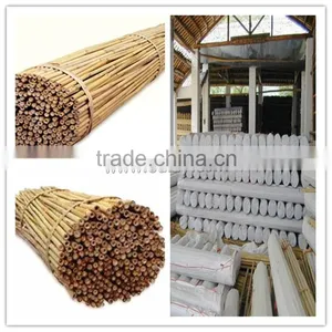 Thin Nature Round Bamboo Flower Sticks in China thumbnail-1