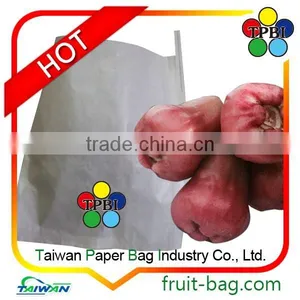 Fruit Protective Paper Bag Wax Apple Bell Fruit Protection Bag Bell Fruit Growing Paper Bag thumbnail-1