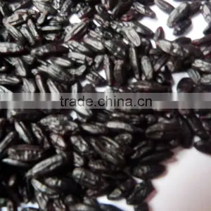 Steamed/roasted Black Rice (organic or Common Types) thumbnail-1