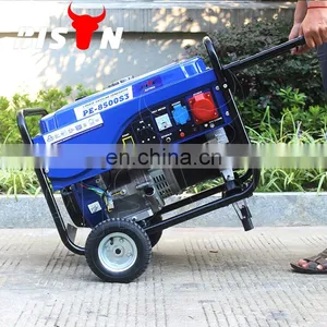 BISON CHINA 6000w Generator Electric Portable Petrol Self Start Generator Air Cooled 7.5 Kva Generator thumbnail-5