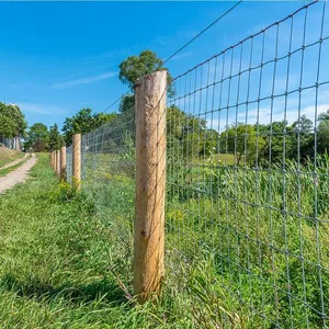 Hot Sale Galvanized Farm Fence Animal Farm Steel Wire Mesh Hinge Joint Fence/deer Fence Wire Mesh for Livestock thumbnail-4