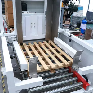 Palletizing Robot thumbnail-2