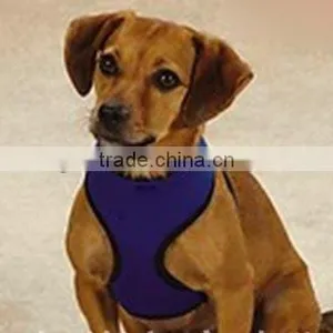 Sandwich Mash Fabric Pet Collar thumbnail-1