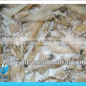 Frozen Whole Califorian Squid thumbnail-3