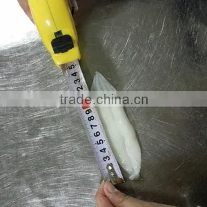Frozen Illex Roe Squid Argentina Raw Material thumbnail-5