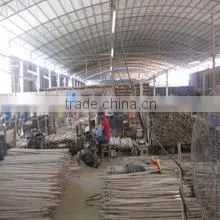 Nanning Sinolin Commodity Co., Ltd. company overview - view 2 thumbnail
