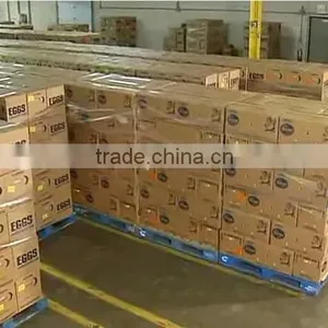 CLEAN FRESH WHITE AND BROWN EGGS FOR SALE BRAZIL ORIGIN thumbnail-2