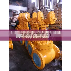 WCB Globe Valve for Ammonia thumbnail-1