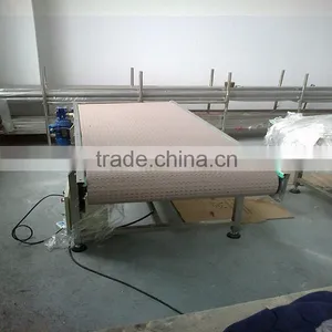 Inclined Belts Conveyor System for Production Line thumbnail-4