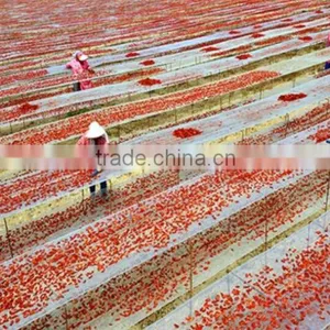 Supply Natural Sun Dried Tomato Halves With Large Quantity thumbnail-4