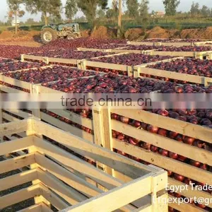 Fresh Red Onion thumbnail-1