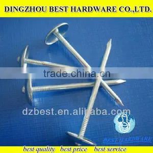 Low Price Galvanised Roofing Nails With Umbrella Head thumbnail-1