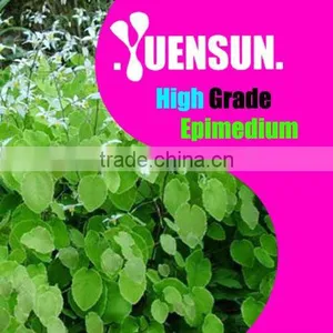 Epimedium Brevicornum Maxim Extract Powder Icariin 5%~98% HPLC thumbnail-1