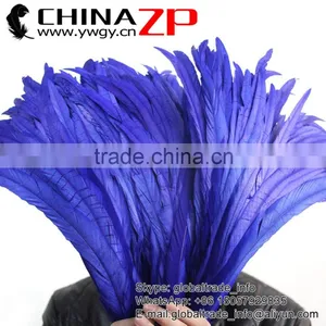 Leading Supplier CHINAZP Wholesale Colored Royal Blue Chicken Fully Dyed Roosters Feathers for Show thumbnail-1
