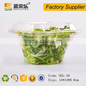 Food Use and PET Plastic Type Disposable Food Salad Container With Lid thumbnail-4