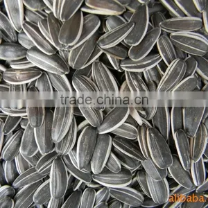 Supply All Kinds Of Sunflower Seeds thumbnail-6