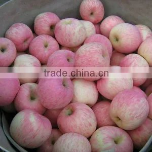 2014 New Fresh Fuji Apple thumbnail-1