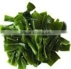 Kelp P.E thumbnail-1