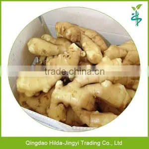 Professional Chinese Fresh Ginger Wholesale thumbnail-1