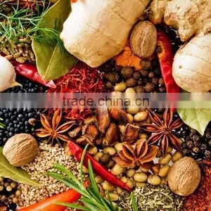 Indian Spices & Spice Powders thumbnail-3