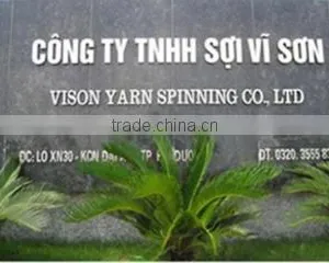 Vison Yarn Spinning Co., Ltd company overview - view 1 thumbnail