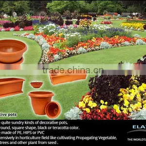 Decorative Pots thumbnail-1