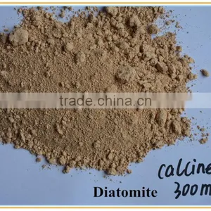 Food Grade Calcined and Raw Diatomite For Filter Aid/Media thumbnail-5