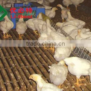 Popular Chicken Automatic Feeder and Drinker for Broiler Parent Breeder thumbnail-6