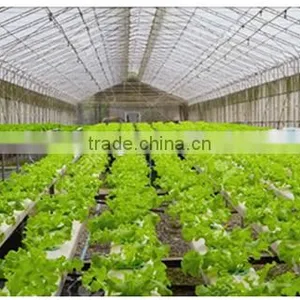100% NEW HDPE Sun Shade Net Supplier thumbnail-1
