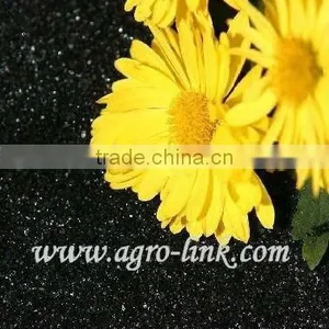 Manure Spreaders thumbnail-1