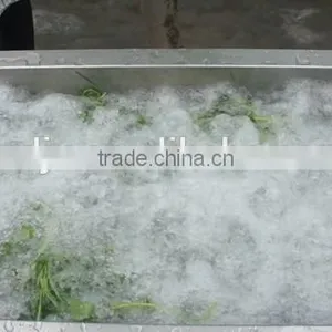 High Efficiency Commercial Vegetable Fruit Washing Equipment thumbnail-3