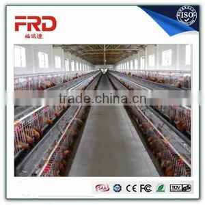 Trade Assurance 100% Payment Guarantee Factory Good Quality Cages and Aviaries for Birds thumbnail-2