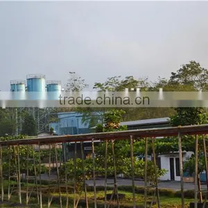 Popular in Asian Africa North America Palm Oil Milling Machine Oil Refinery Plant Machine thumbnail-1