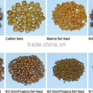 Feed Pellet Extruder Machine Process Line thumbnail-5