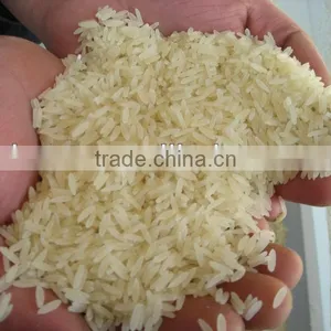 Double Screw Artificial Rice Snacks Macking Machine thumbnail-1