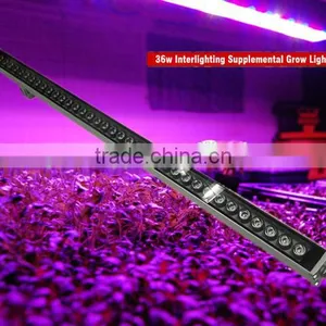 Hotsale IP65 36W LED Grow Bar Light Hydroponics in Customized Color Ratio thumbnail-1