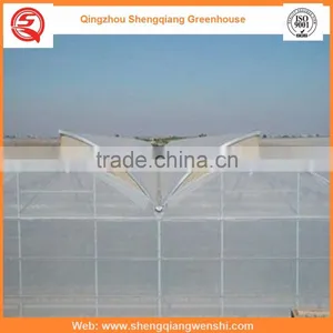 Agriculture Equipment Multi-span 6.0m Plastic PE Film Agriculture Greenhouse for Sale thumbnail-3