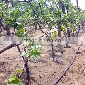 Irrigation Drip Pipe With Good Quality Drip Tape Drip Line thumbnail-2