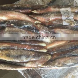 New Landing Seafrozen Wholesale Argentina Squid for Bait thumbnail-3