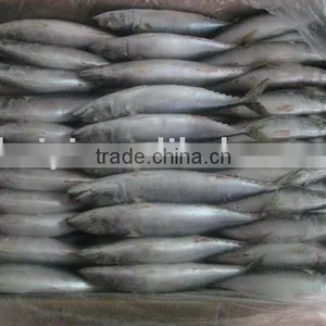 Frozen Mackerel (6-8pcs) thumbnail-1