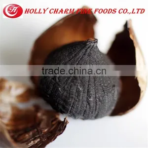 Best Price of Natural and Top Quality Peeled Solo Clove Black Garlic thumbnail-4
